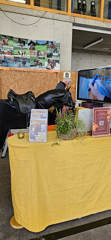 Impressionen Passion Reitkultur 6